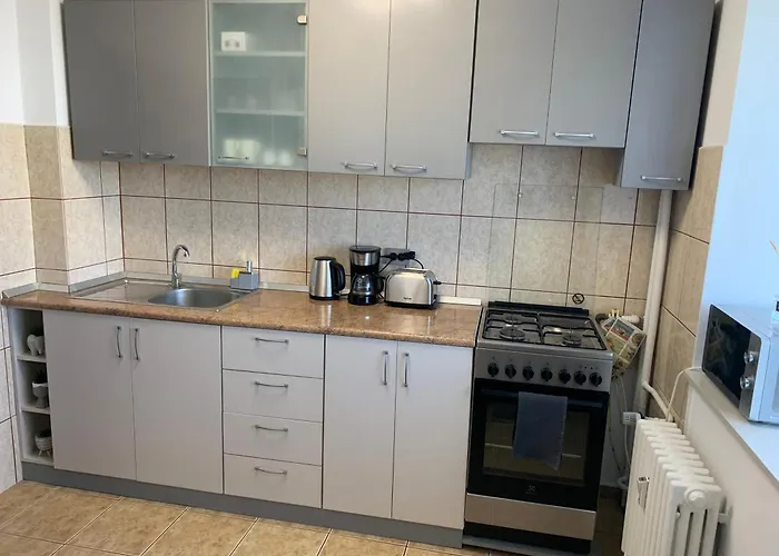 Victoriei Boulevard Private Apartment