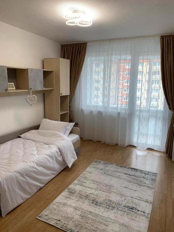 Apartment Victoriei Boulevard Private *