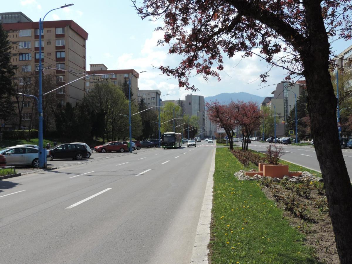 Victoriei Boulevard Private Apartment