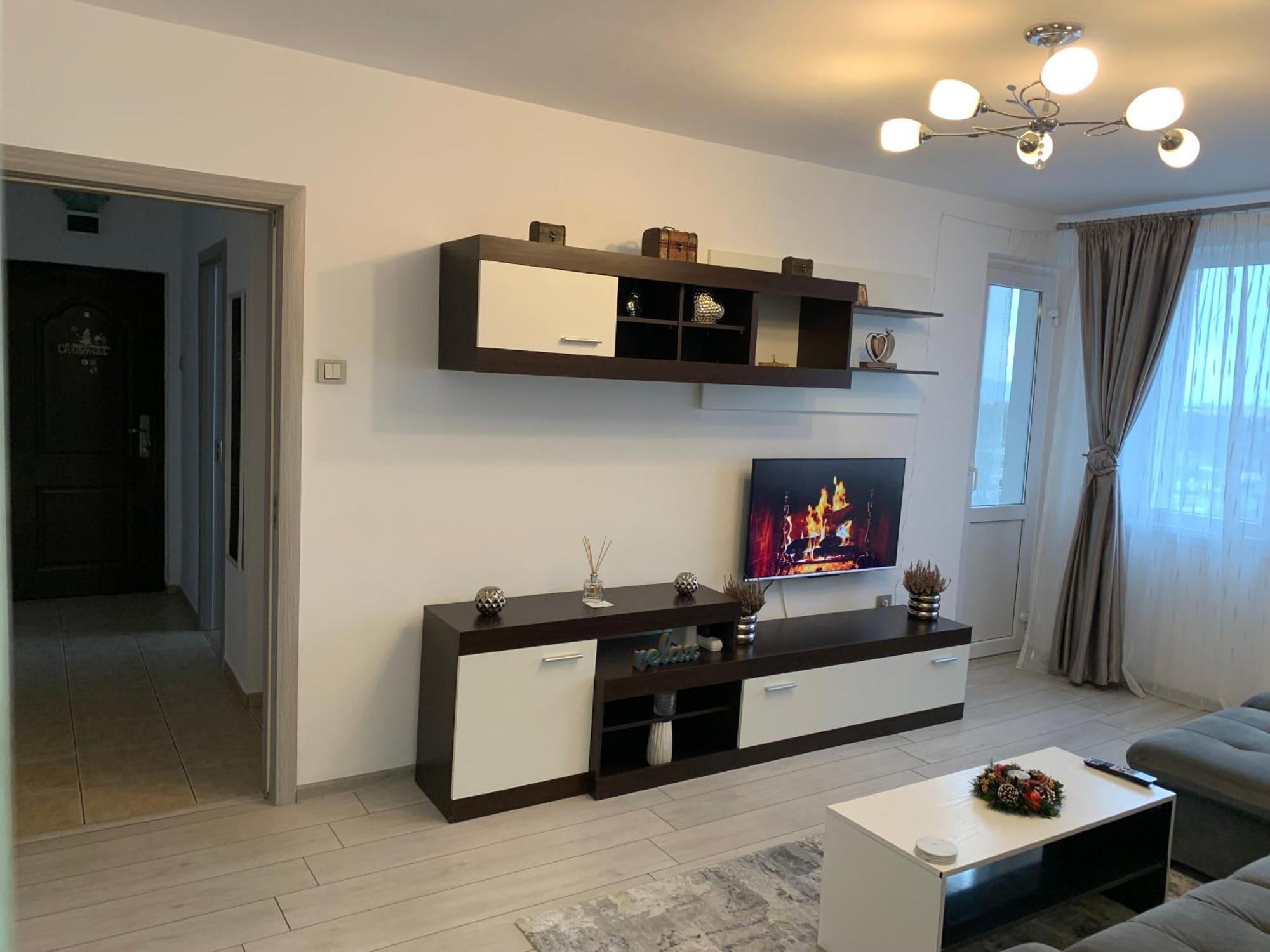 Apartment Victoriei Boulevard Private *