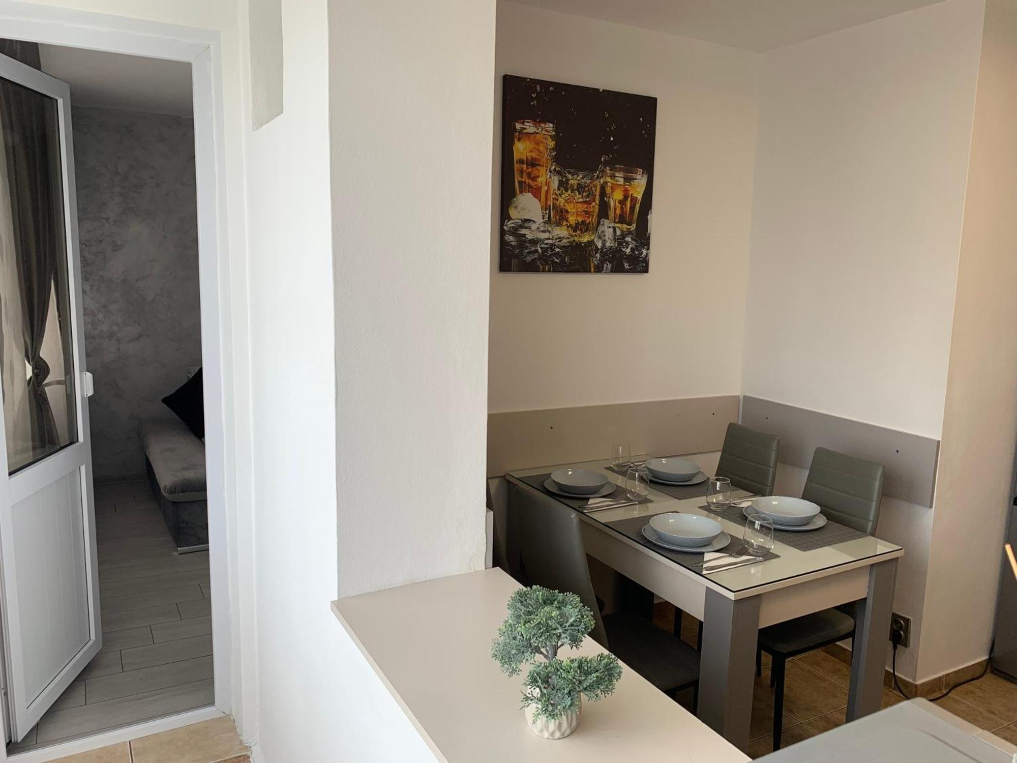 Apartment Victoriei Boulevard Private