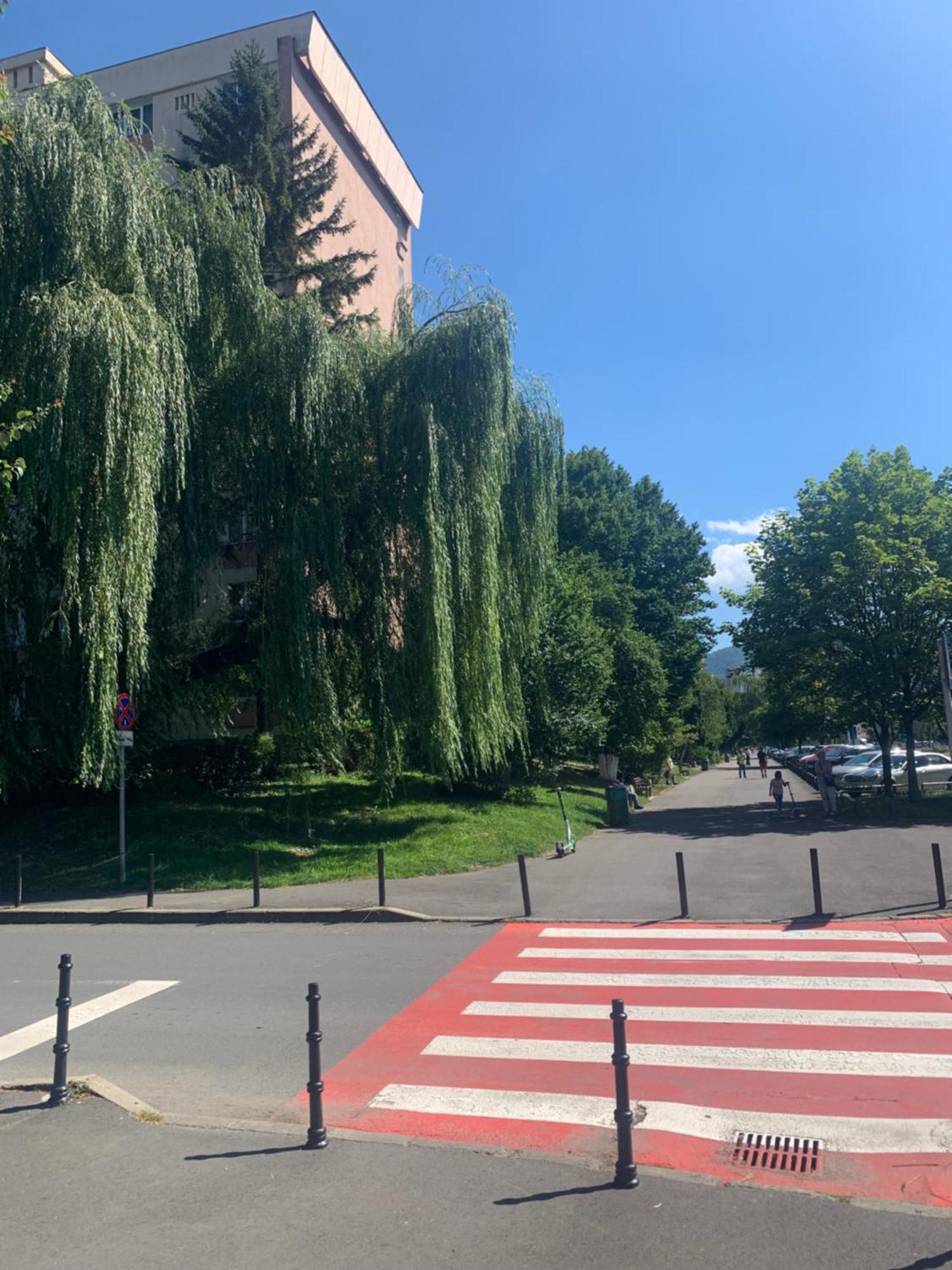 Victoriei Boulevard Private Apartment Brasov