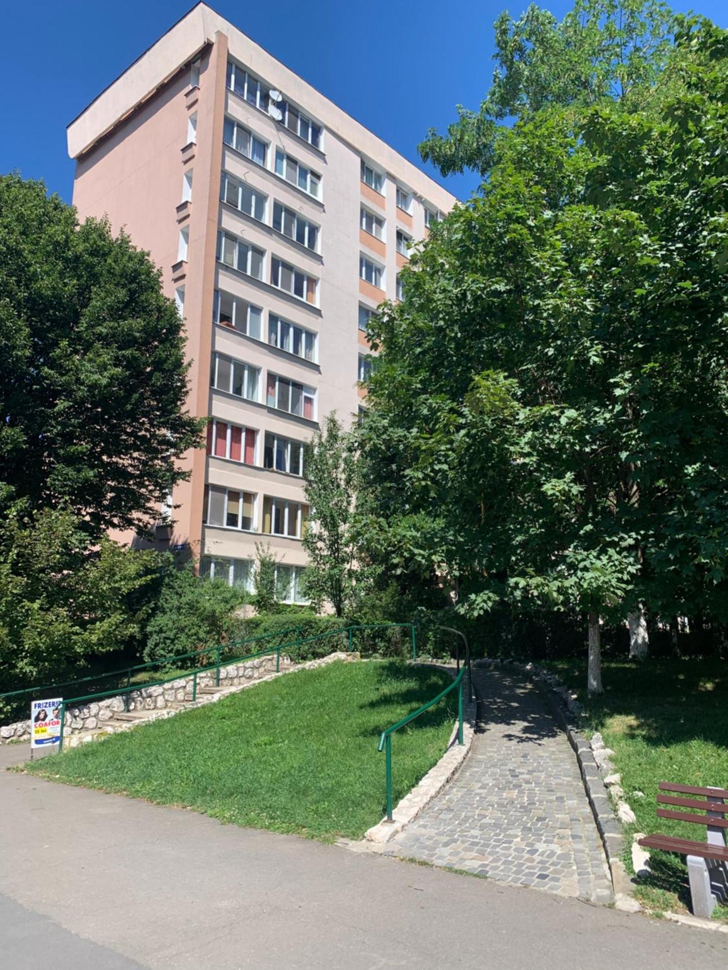 Victoriei Boulevard Private Apartment